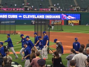 Cubs doing stretches.